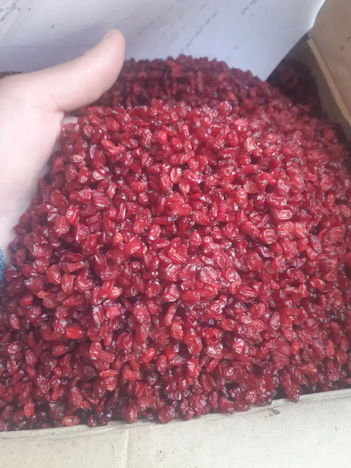 زرشک دانه اناری|خوردنی و آشامیدنی|مشهد, شیرودی|دیوار