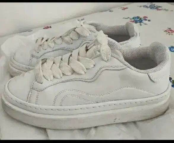 کفش کتونی اسپرت|کیف، کفش، کمربند|جوانرود, |دیوار