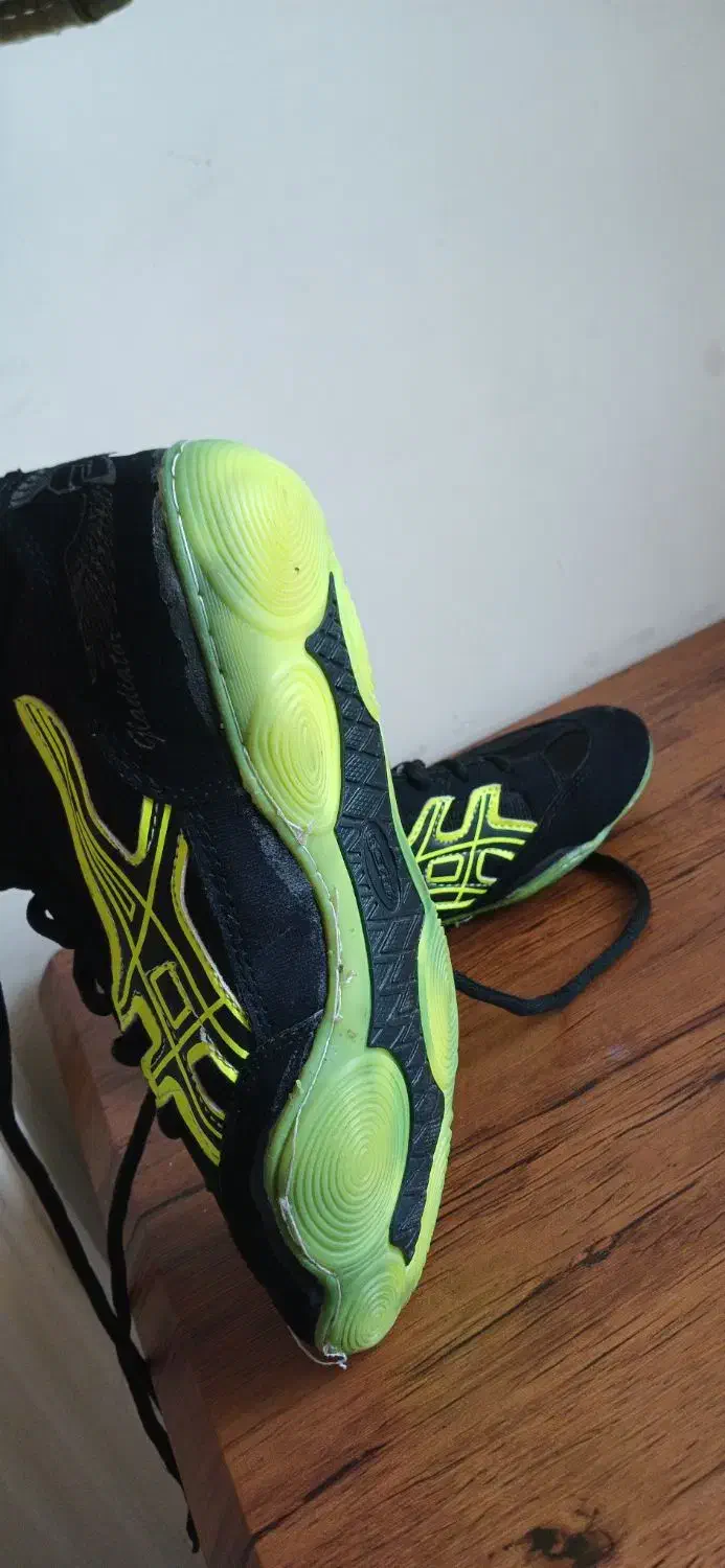 کفش کشتی|کیف، کفش، کمربند|رباط‌کریم, مسکن مهر آبشناسان|دیوار