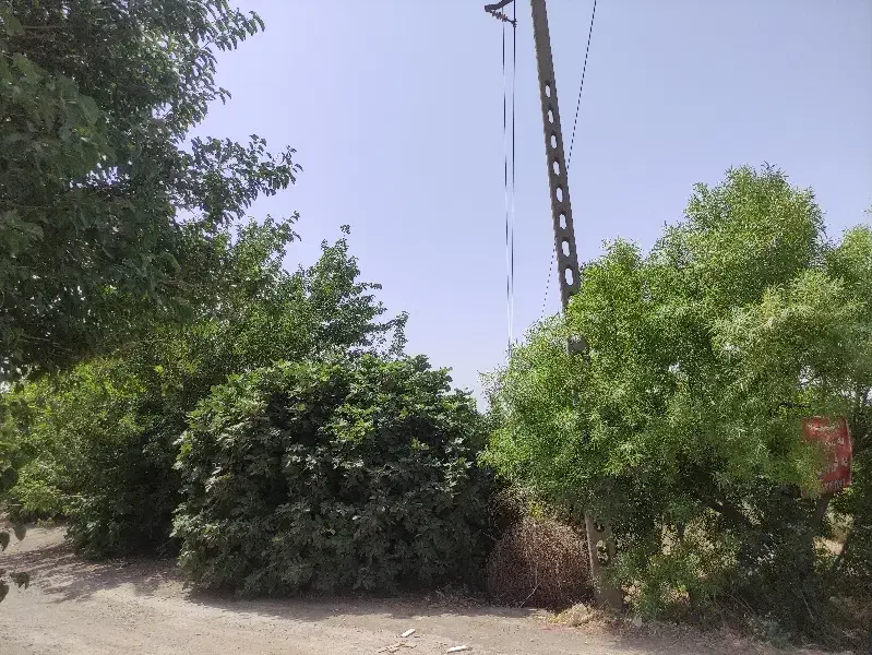 باغچه  اسلامشهر|فروش زمین و ملک کلنگی|اسلام‌شهر, کاشانک|دیوار