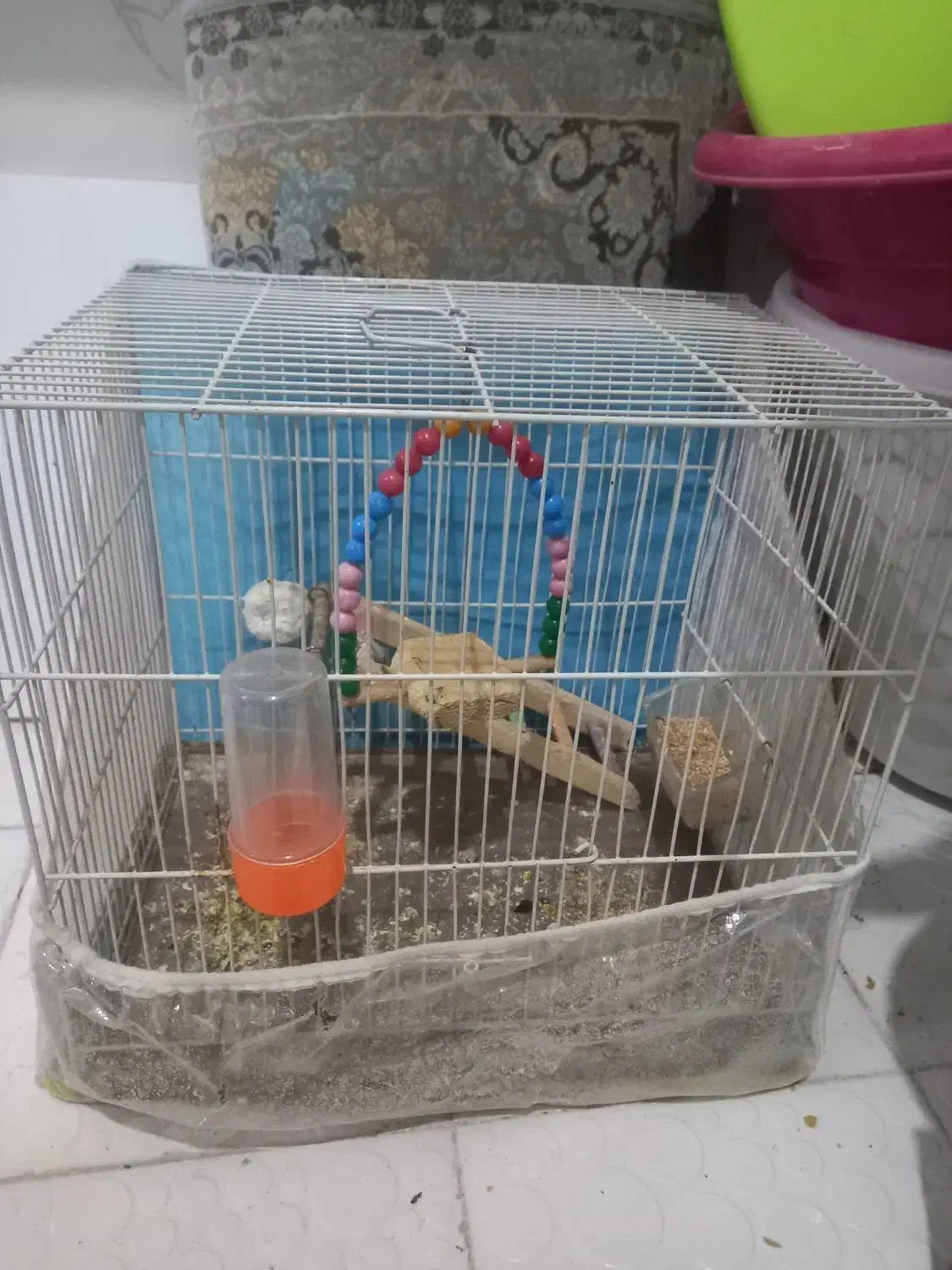 قفس پرنده|لوازم جانبی حیوانات|مشهد, رباط طرق|دیوار