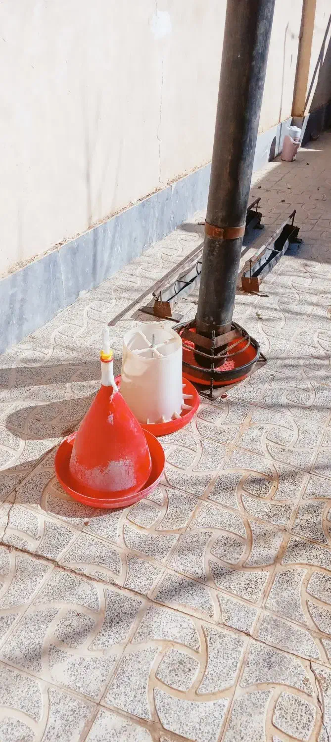 فروش دان خوری و اب خوری|لوازم جانبی حیوانات|گلپایگان, |دیوار