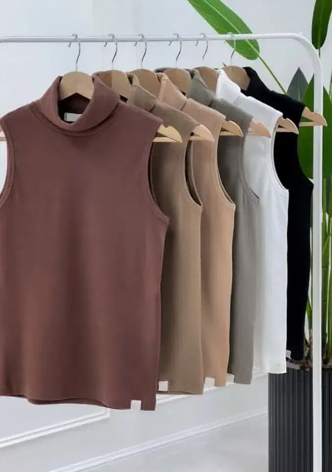 تاپ اسکی قواره|لباس|کاشان, پا نخل|دیوار