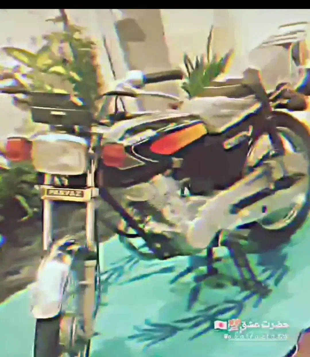 موتور|موتورسیکلت|شیراز, کوشک میدان|دیوار