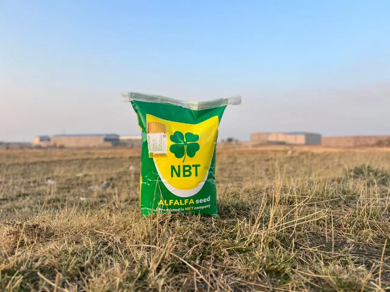 بذر تخم یونجه NBT|عمده‌فروشی|اهواز, ۳۰ متری|دیوار