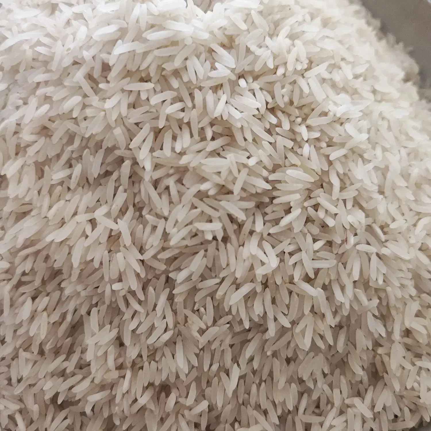 برنج ایرانی مینودشت|خوردنی و آشامیدنی|مشهد, سعد آباد|دیوار