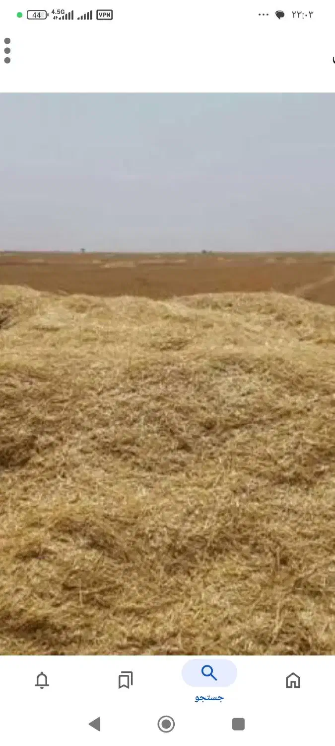 کاه گندم|خدمات باغبانی و درختکاری|پلدختر, |دیوار