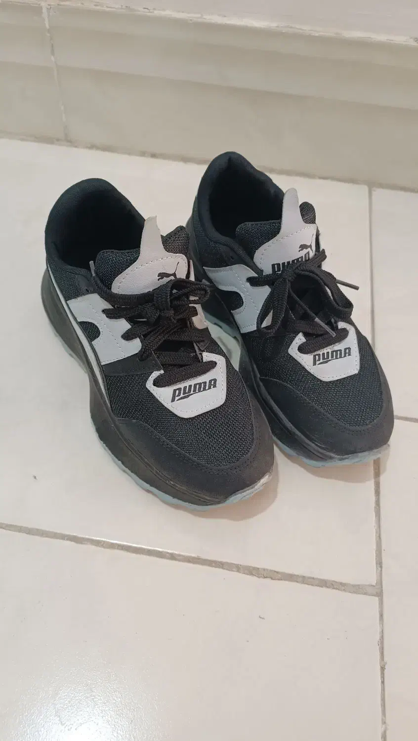 کفش اسپرت|کیف، کفش، کمربند|گناباد, |دیوار