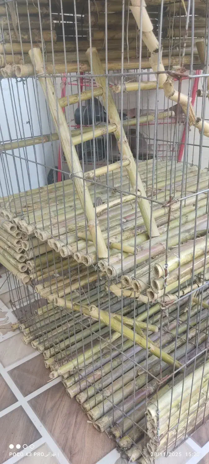 قفس حیوانات|لوازم جانبی حیوانات|صومعه‌سرا, |دیوار