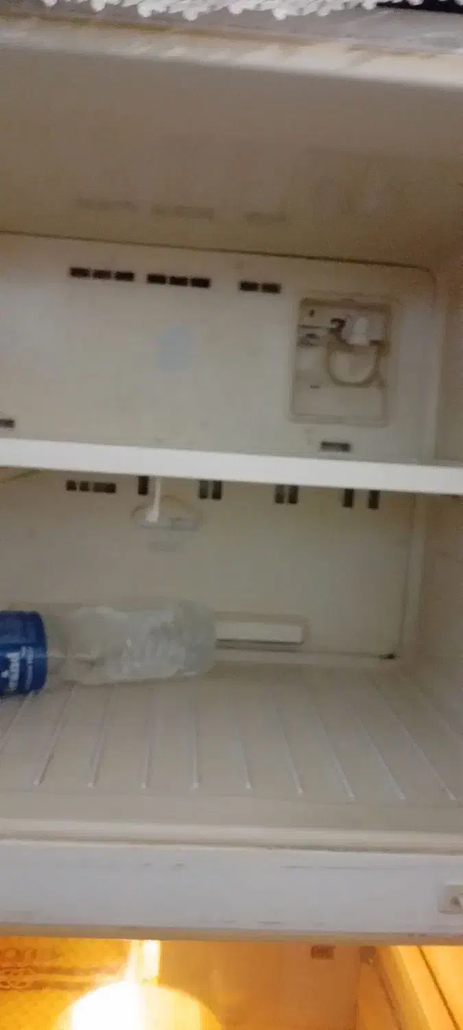 یخچال دوو ۲۵ سالم|یخچال و فریزر|رشت, دروازه لاکان|دیوار