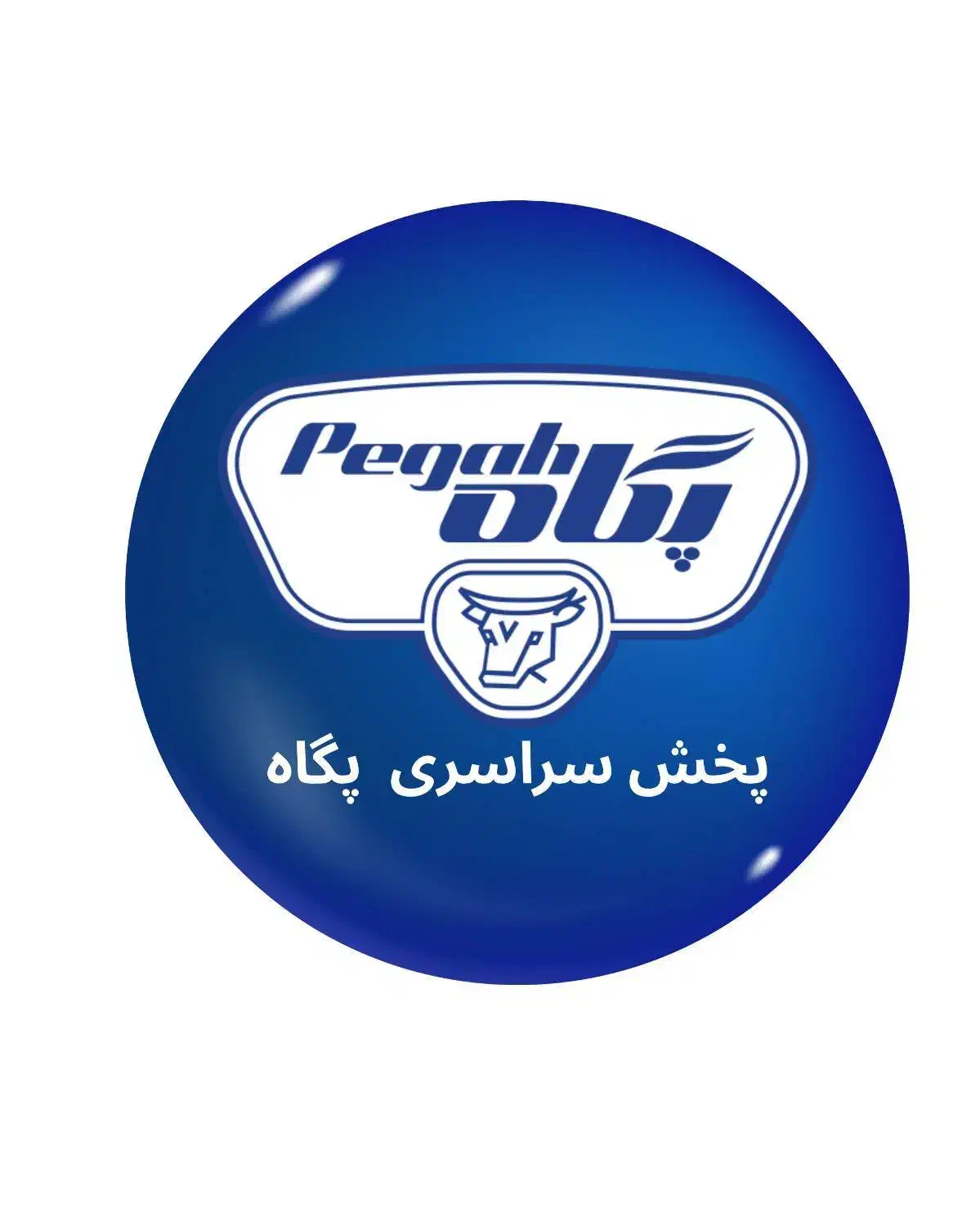 جذب ویزیتور آقا در شرکت لبنیاتی پگاه|استخدام بازاریابی و فروش|اردبیل, |دیوار