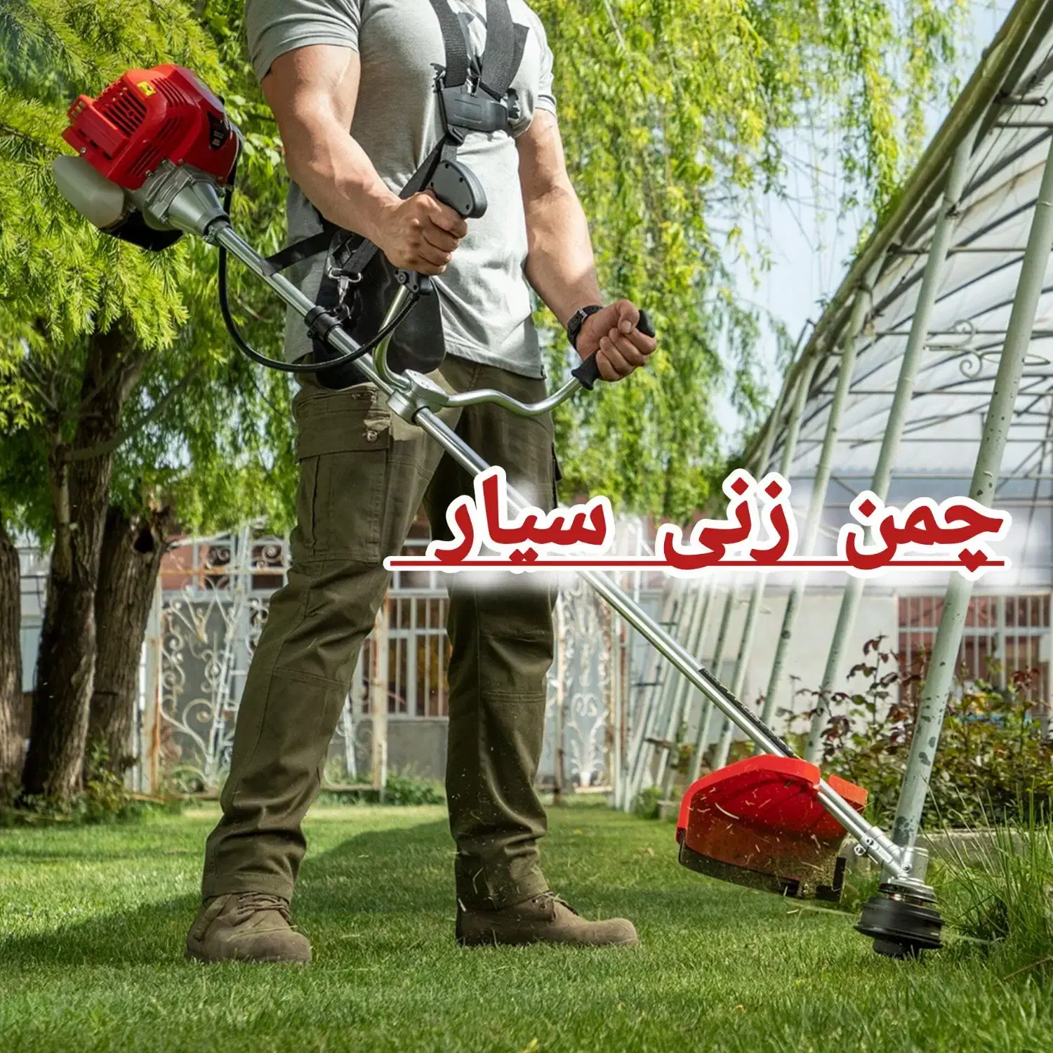 خدمات چمن زنی علف زنی علف تراشی حاشیه زنی|خدمات باغبانی و درختکاری|رشت, دیلمان|دیوار