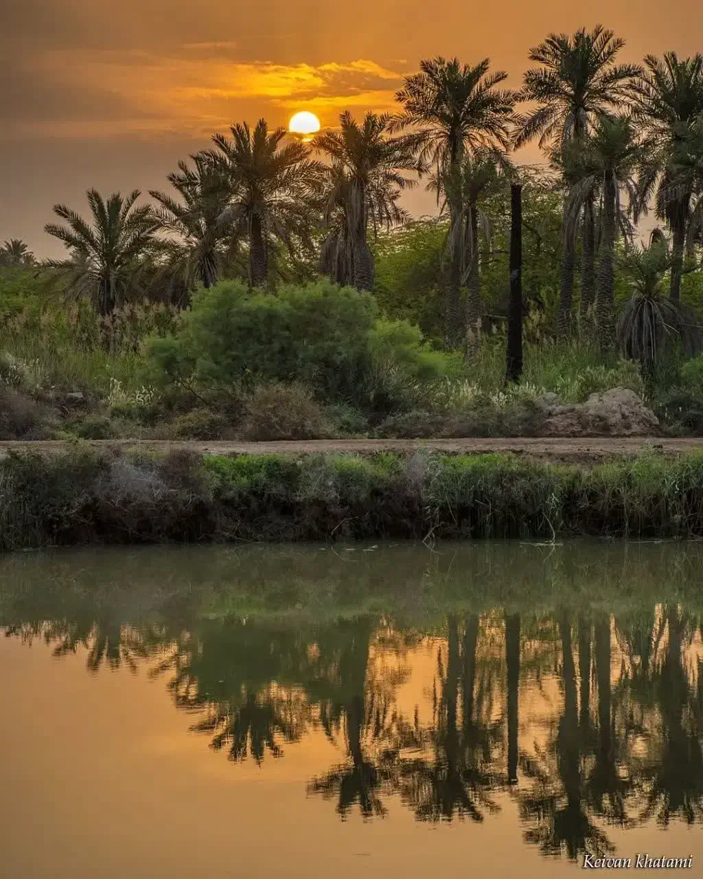 تور اهواز آبادان خرمشهر با قطار|تور و چارتر|تهران, شهرک صدرا|دیوار