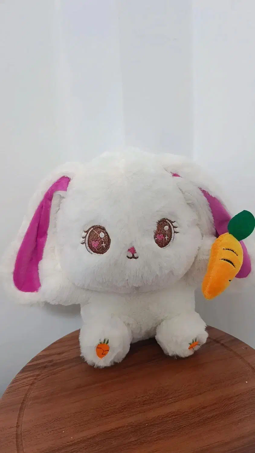 تولیدی|اسباببازی|لاهیجان, کوی زمانی|دیوار