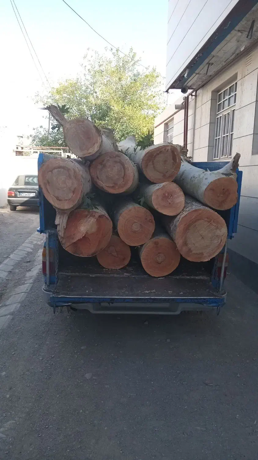 خریدچوب وکنده درخت وچوب سقفی و ریشه|خدمات باغبانی و درختکاری|نیشابور, باغرود|دیوار
