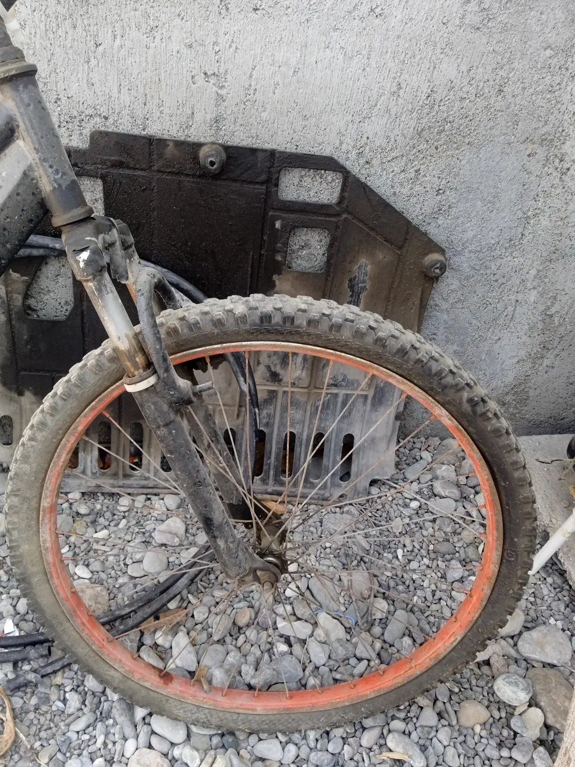 دو عدد دوچرخه|دوچرخه، اسکیت، اسکوتر|میناب, |دیوار