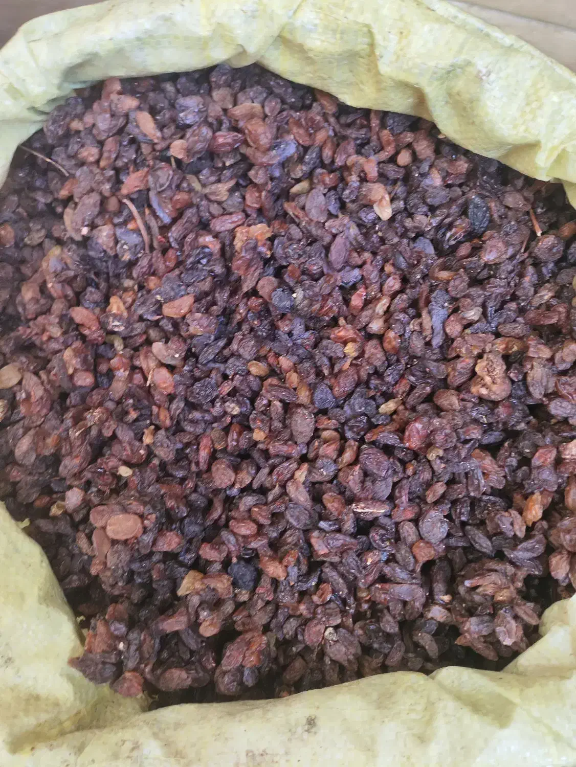 کشمش افتابی|خوردنی و آشامیدنی|یزد, |دیوار