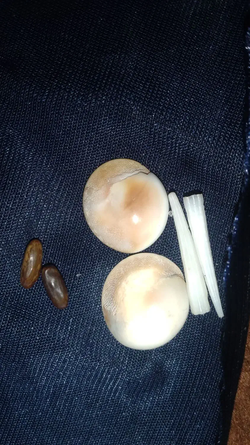 مهره|کلکسیون اشیاء عتیقه|اهواز, کمپلو جنوبی|دیوار