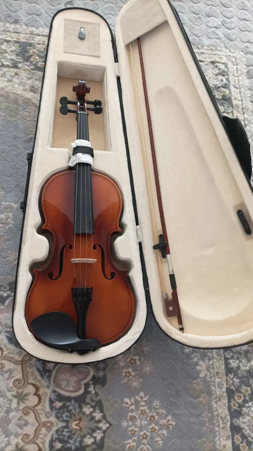 فروش ویولن|ویولن|فسا, |دیوار
