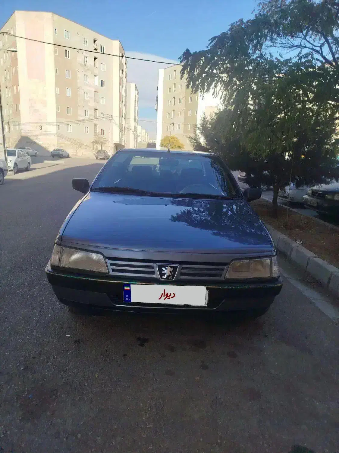 405 دوگانه شرکت|خودرو سواری و وانت|محمدیه-قزوین, |دیوار