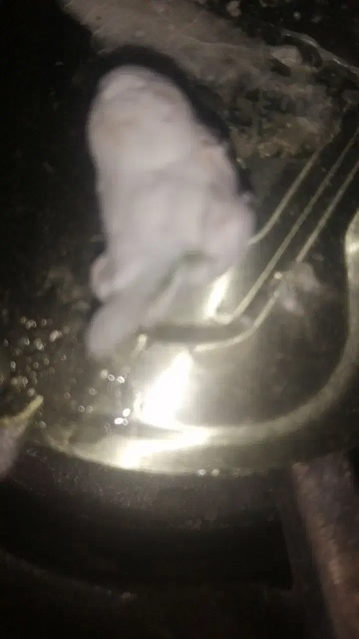 انواع دعا وسوختن زاغ وختم قرآن|خدمات پذیرایی، مراسم|کرمان, |دیوار