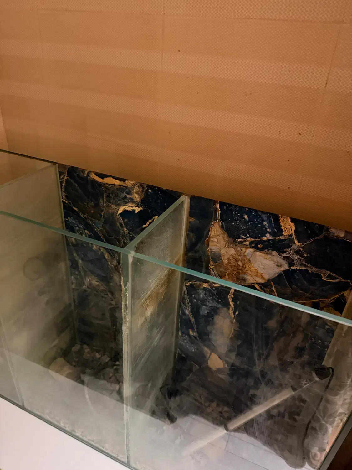 فروش آکواریوم با تجهیزات|ماهی|اهواز, کیانپارس |دیوار