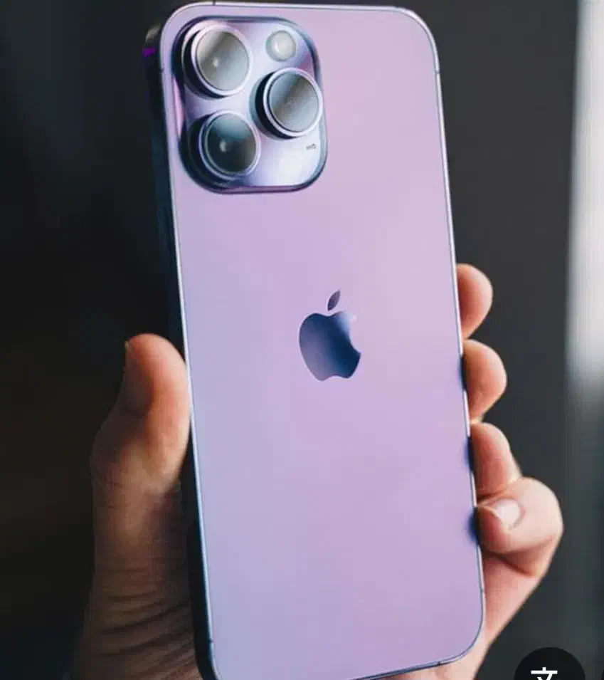 14promax|موبایل|یزد, |دیوار