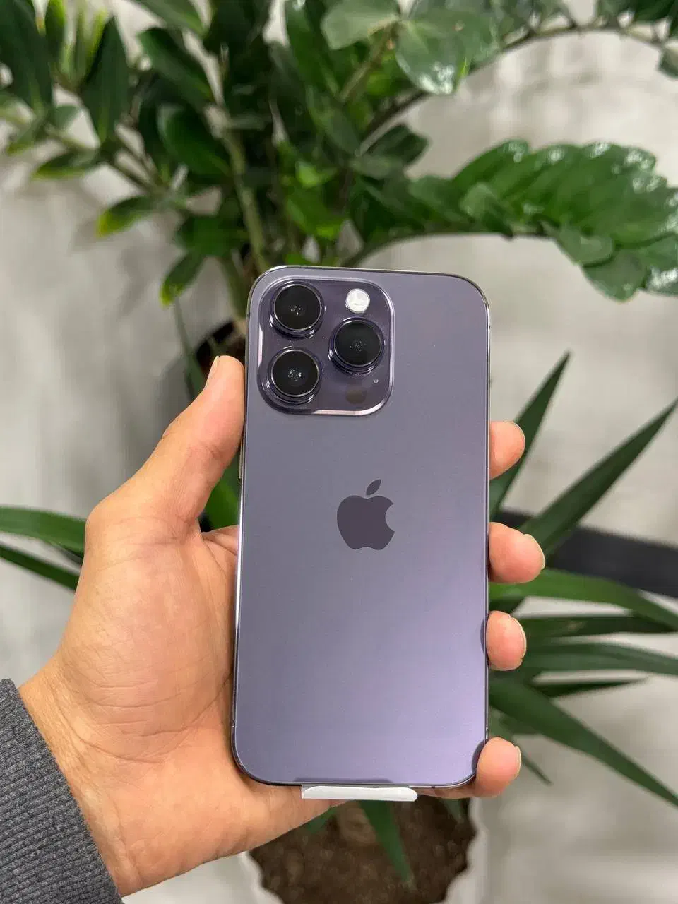 14pro 256|موبایل|مشهد, بهشت|دیوار