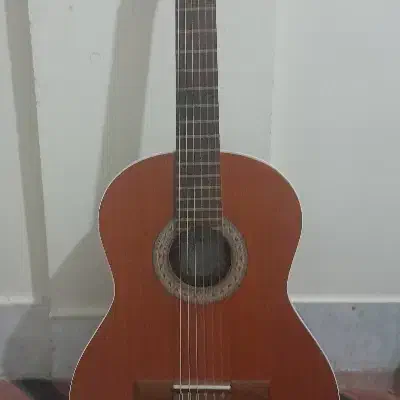 فروش یک گیتار|گیتار، بیس، امپلیفایر|خمینی‌شهر, |دیوار