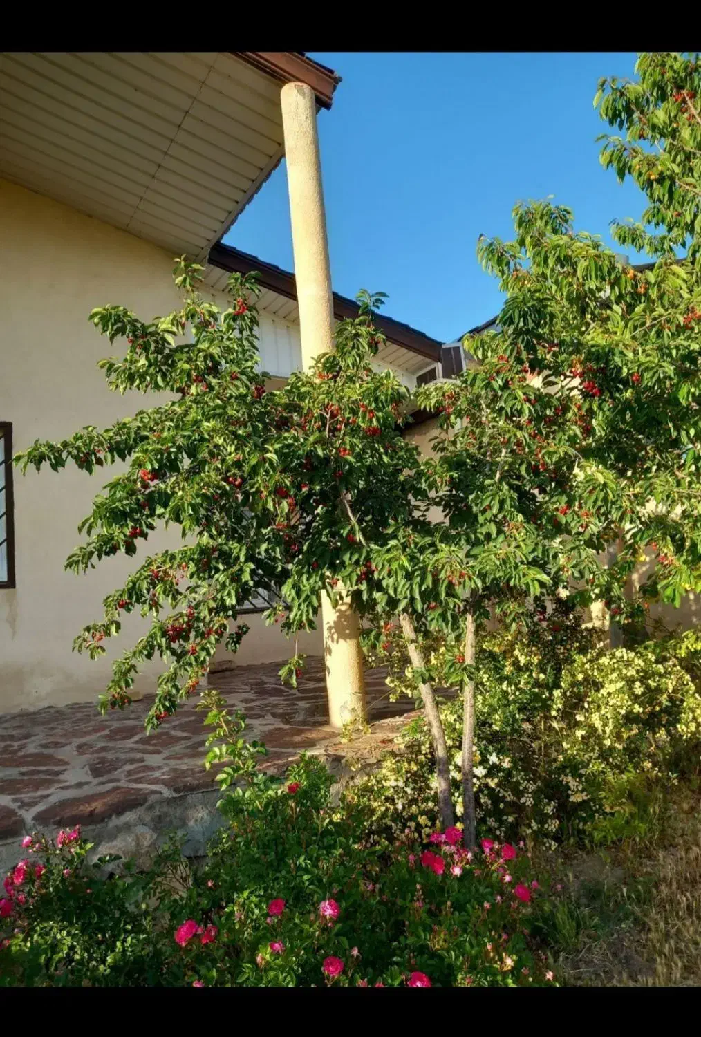 ویلا خانه باغ سه ساعت تا تهران فاصله|فروش خانه و ویلا|تهران, میرداماد|دیوار