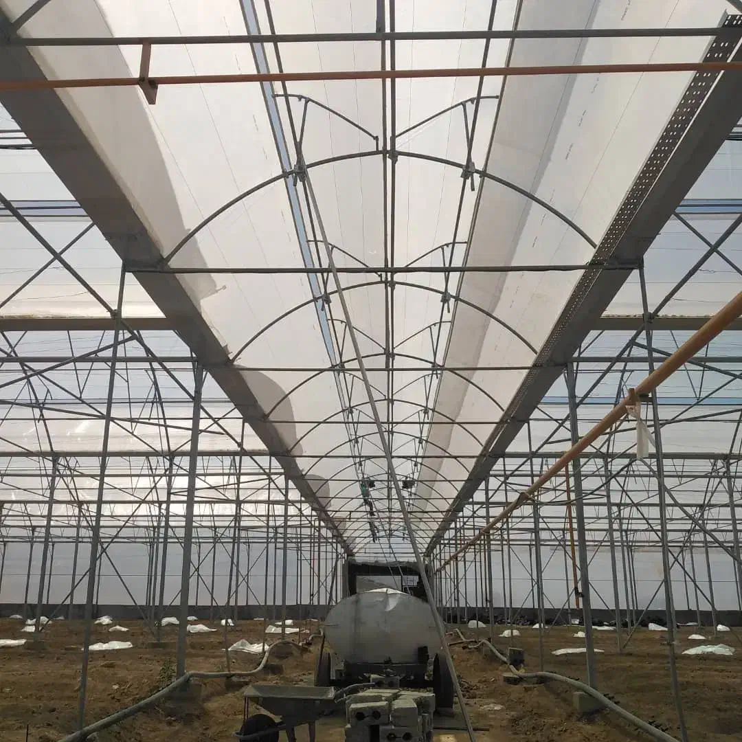 شرکت بهین گلخانه سپاهان (TAAK)|خدمات پیشه و مهارت|نجف‌آباد, شهرک صنعتی نجف آباد|دیوار