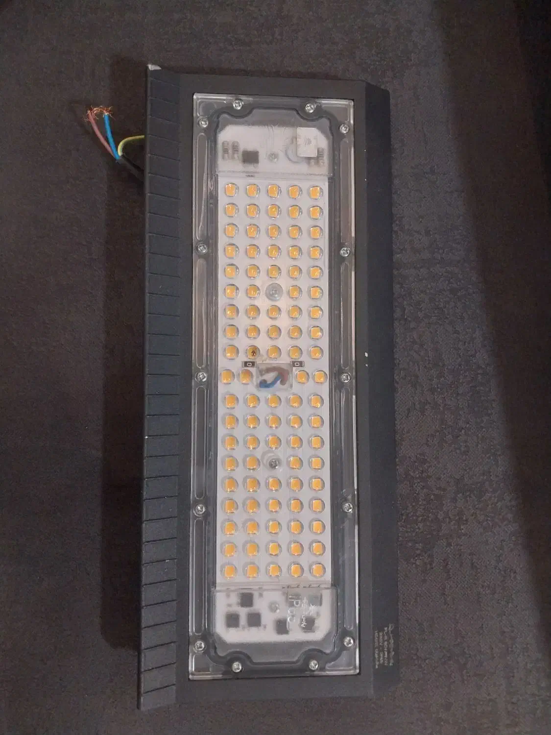 کبوتر معاوضه|پرنده|شیراز, کوشک میدان|دیوار