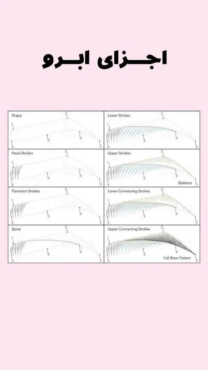 آموزش|خدمات آموزشی|پرند, فاز ۲|دیوار
