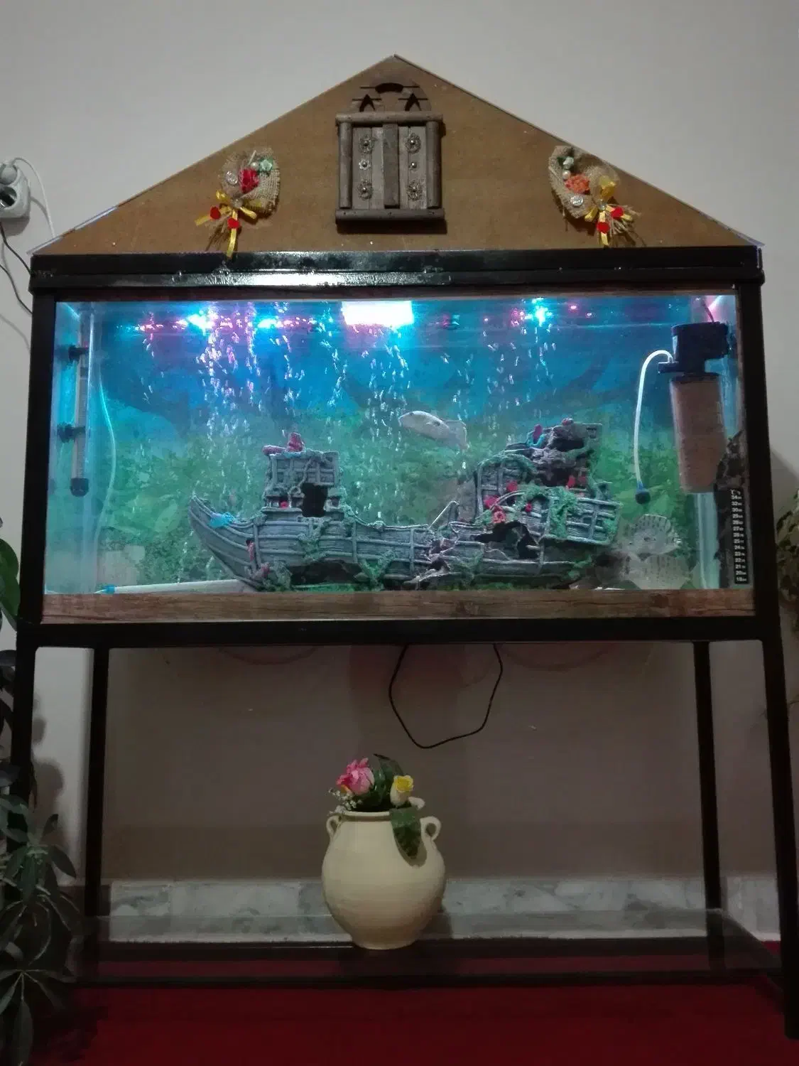 آکواریوم|ماهی|آشخانه, |دیوار