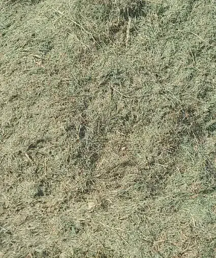 یونجه و کاه|حیوانات مزرعه|ازنا, |دیوار