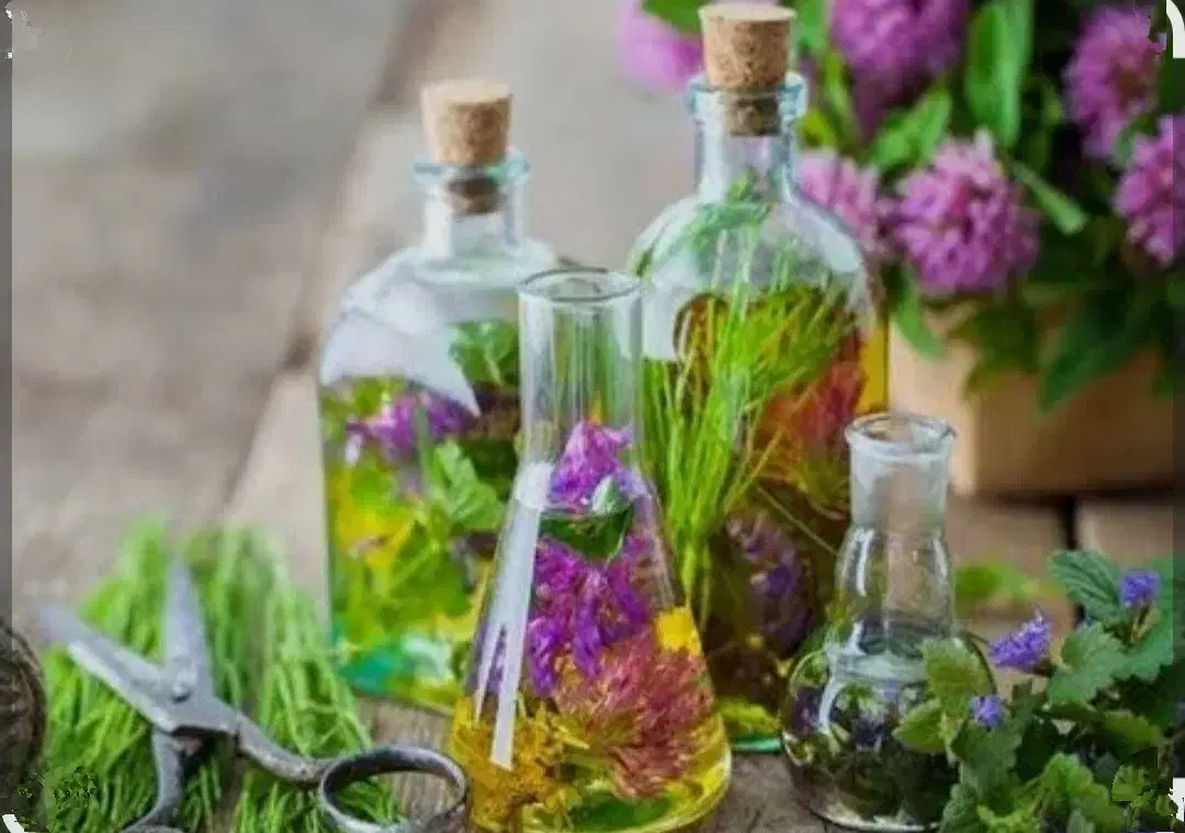 بهترین عرقیات شیراز|خوردنی و آشامیدنی|شیراز, نیستان|دیوار