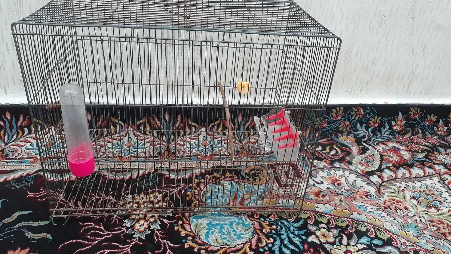 یک قفس درحد نو بزرگ|لوازم جانبی حیوانات|اهواز, پردیس دو|دیوار