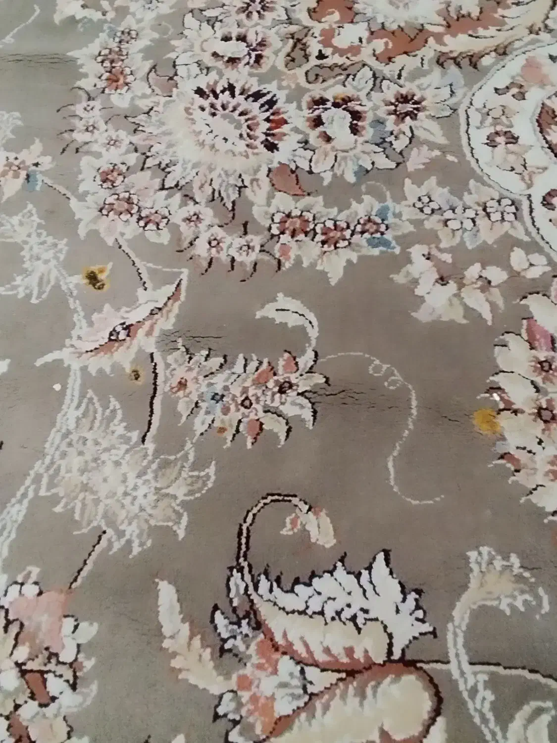 فرش|فرش|قائمشهر, |دیوار