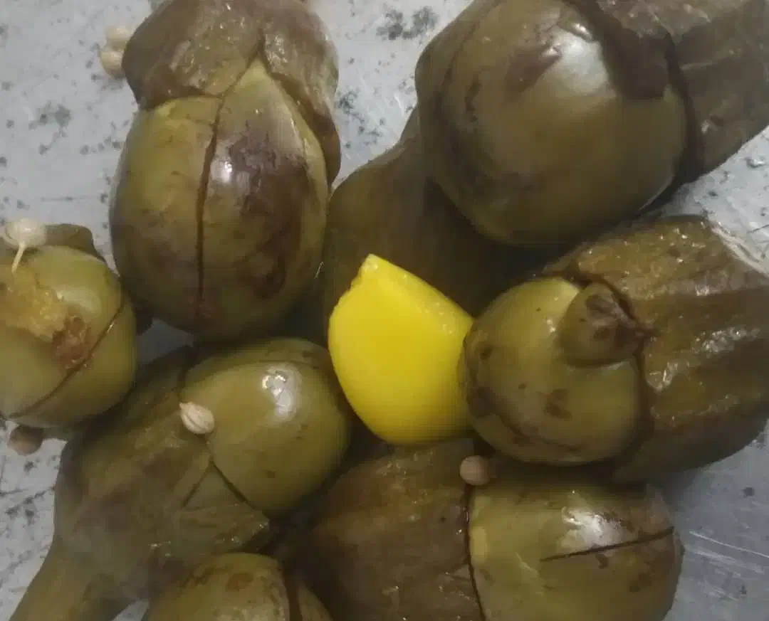 ترشی بادمجان ریز (خانگی وتمیز)|خوردنی و آشامیدنی|صدرا-فارس, فاز ۲|دیوار