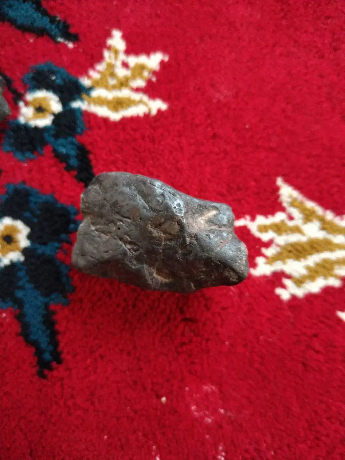 شهاب سنگ|جواهرات|تربتحیدریه, ترمینال|دیوار