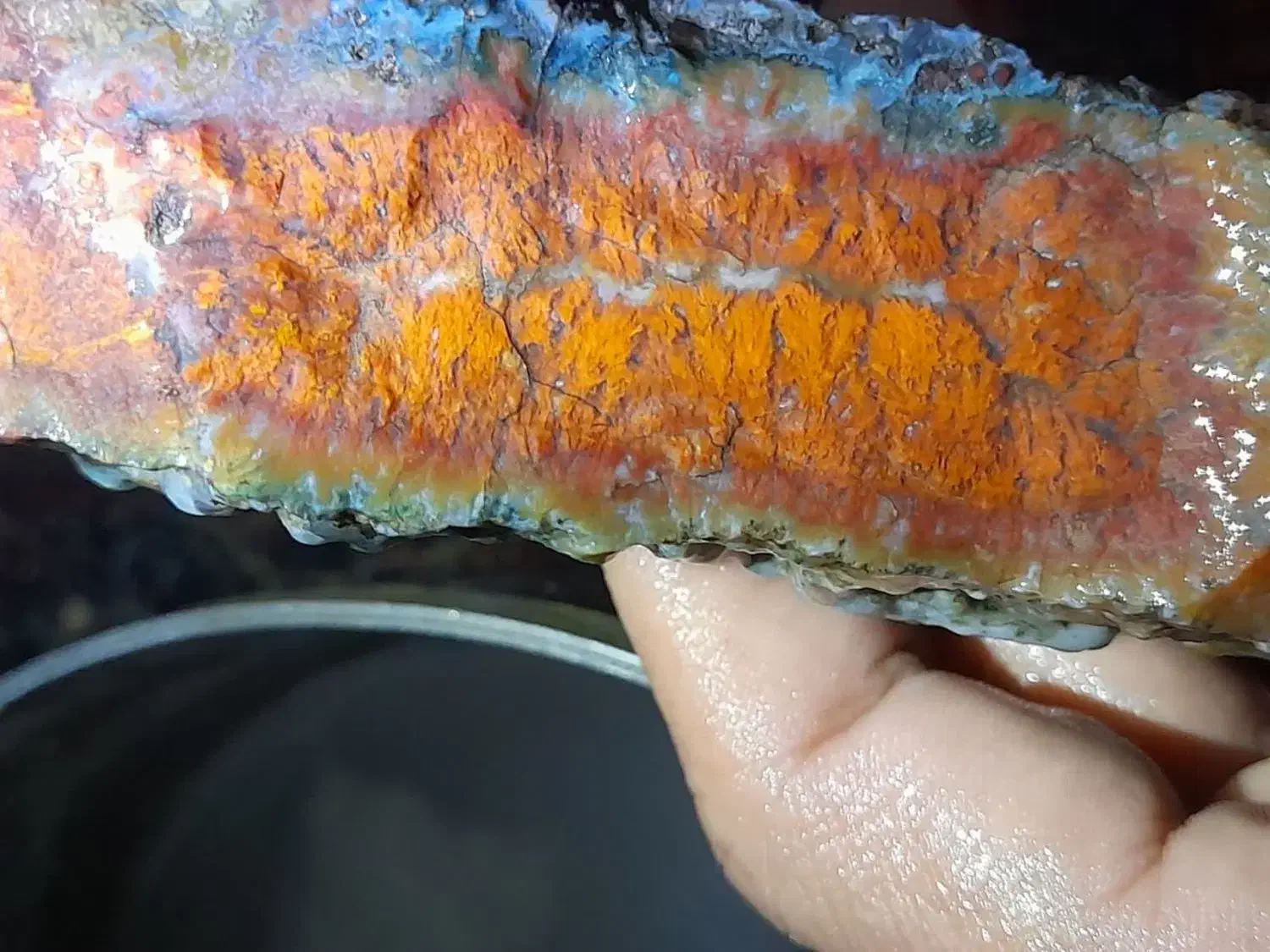 انواع نمونههای زیبا و باکیفیت|جواهرات|فردوس (خراسان), |دیوار