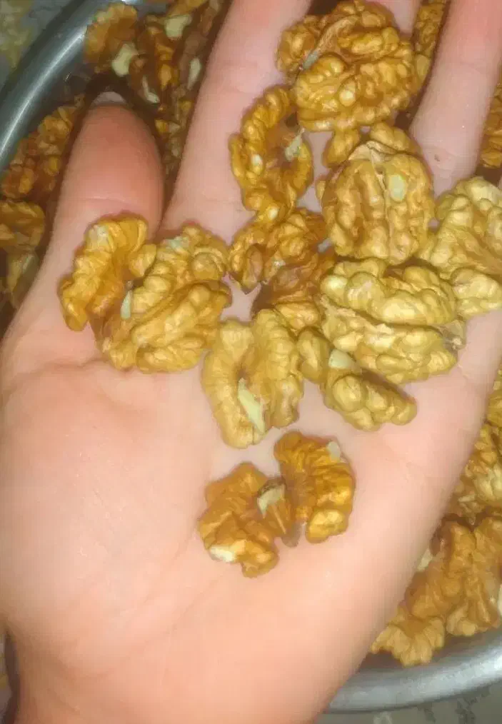 گردو محلی|خوردنی و آشامیدنی|املش, |دیوار