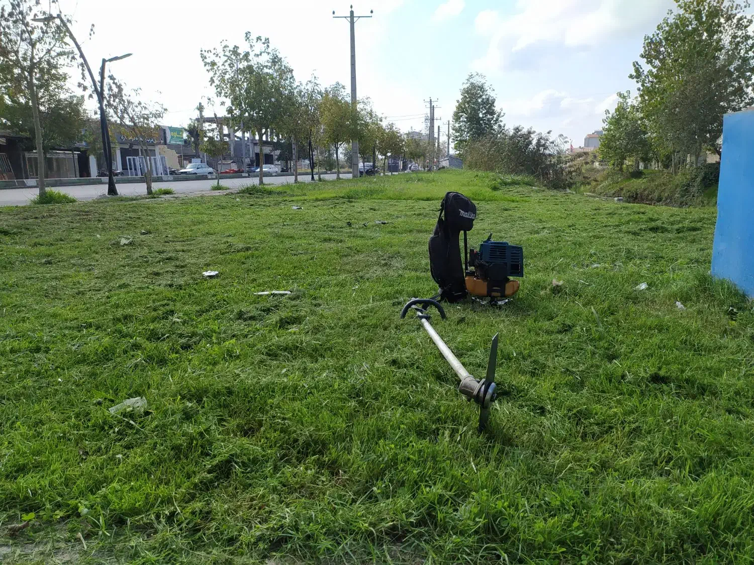 علف زنی و هرس کردن با تیم حرفه ای و قیمت مناسب|خدمات باغبانی و درختکاری|آستانه اشرفیه, |دیوار