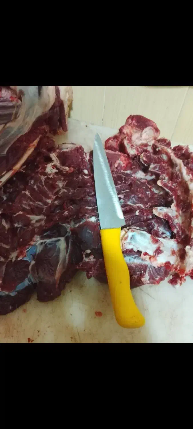 گوشت گرم گوساله 750 و گوشت بره 630|خوردنی و آشامیدنی|شیراز, شهرک گلها|دیوار
