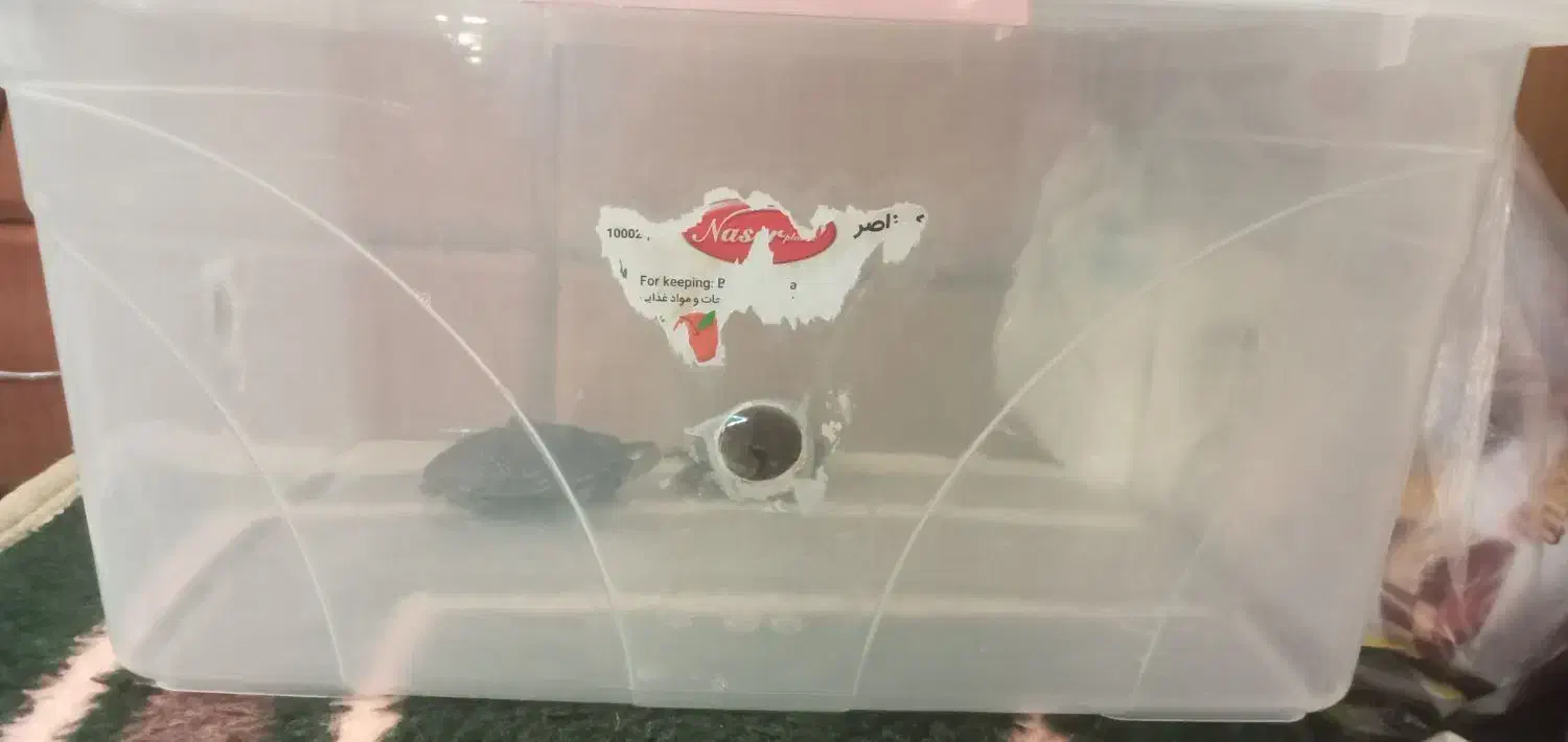 باکس نگهداری از خزنده|لوازم جانبی حیوانات|اصفهان, حصه جنوبی|دیوار