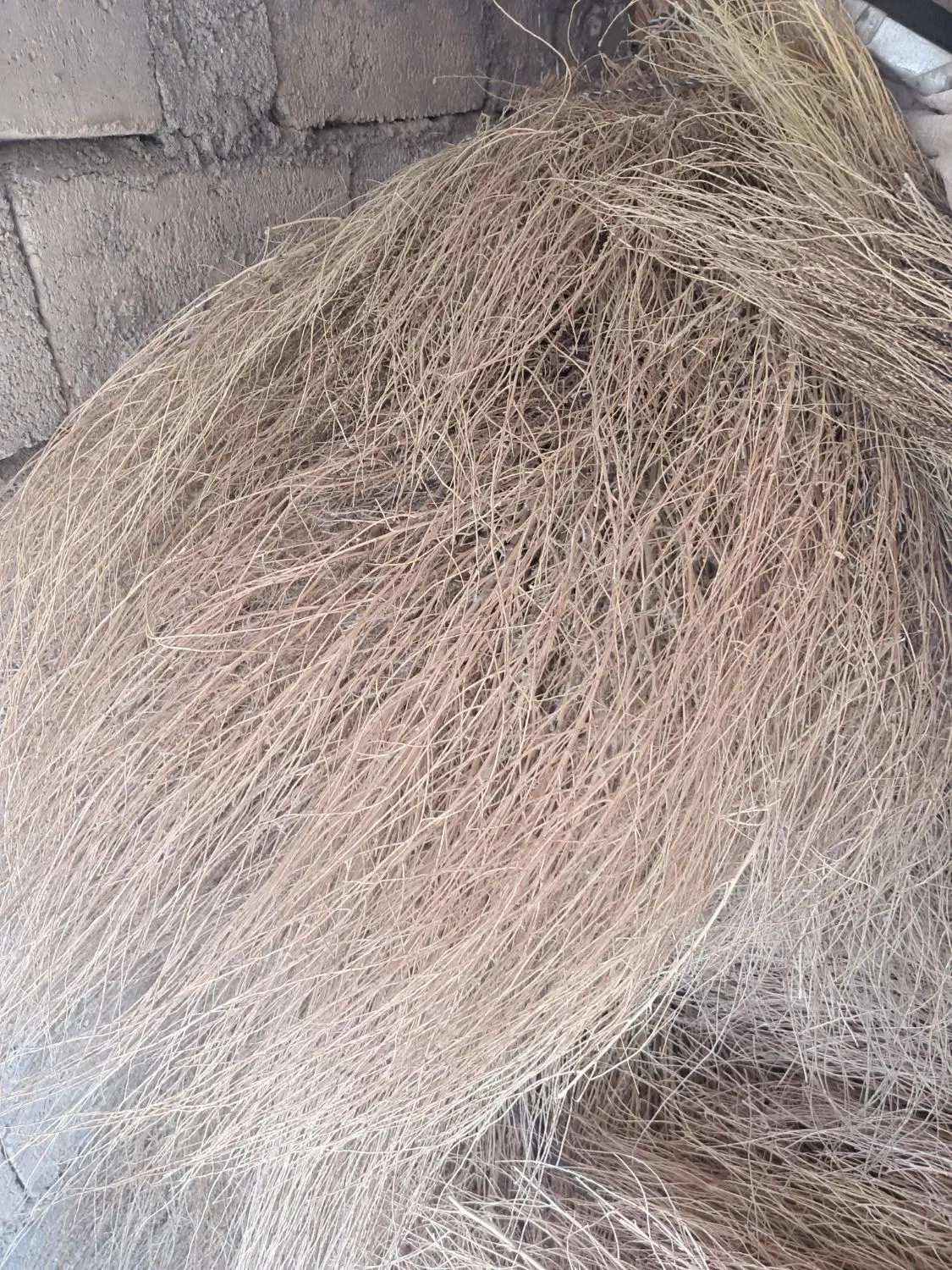جارو|جاروبرقی، جارو شارژی، بخارشو|گوآور, |دیوار