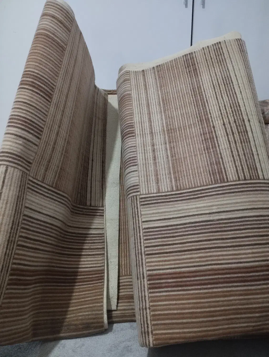 موکت|موکت|بجنورد, |دیوار