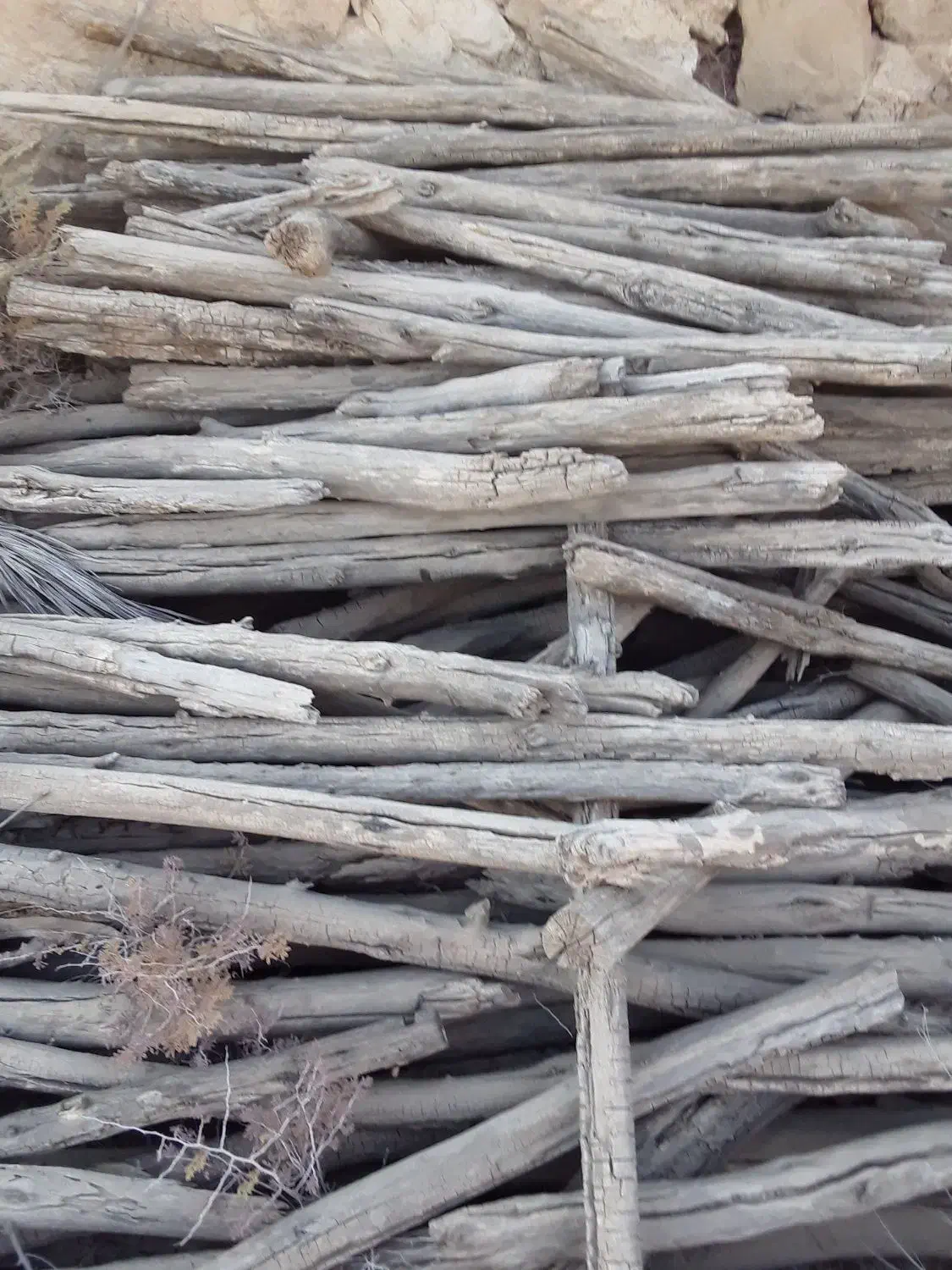 استاد کاشی سرامیک کار افغانی|استخدام معماری، عمران و ساختمانی|جهرم, |دیوار