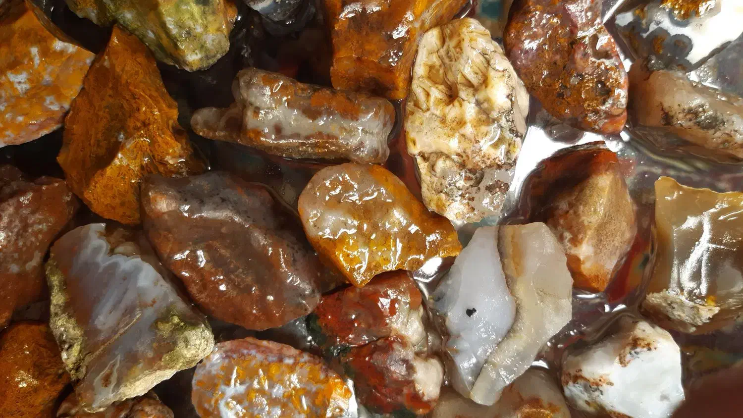 سنگ شجر زیبا|کلکسیون اشیاء عتیقه|کرمان, |دیوار