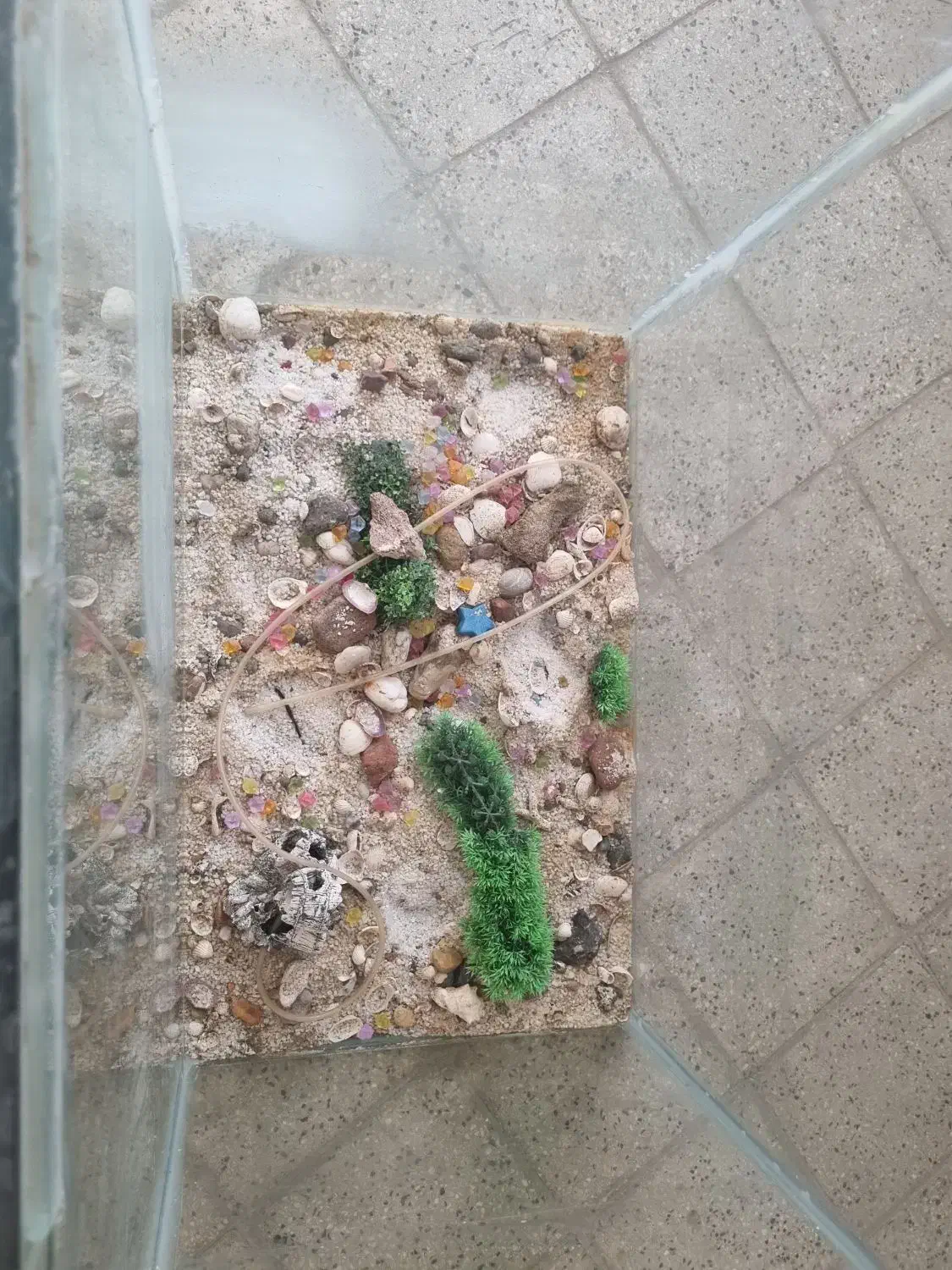 اکواریوم|لوازم جانبی حیوانات|اندیمشک, |دیوار